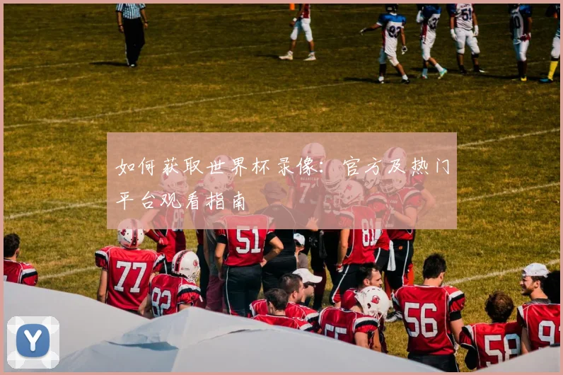 如何获取世界杯录像：官方及热门平台观看指南